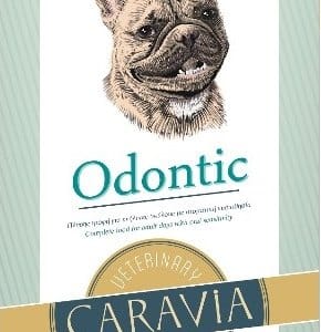 344-0004_ODONTIC_DOG site