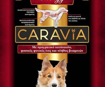 CARAVIA_ENERGY_8