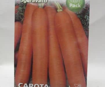 σπόροι καρότο