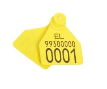 type 1 shape A