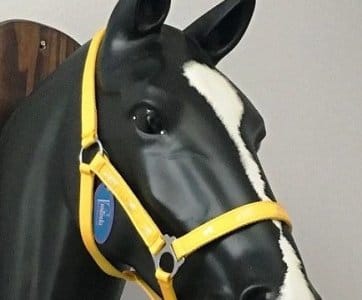 117-0027